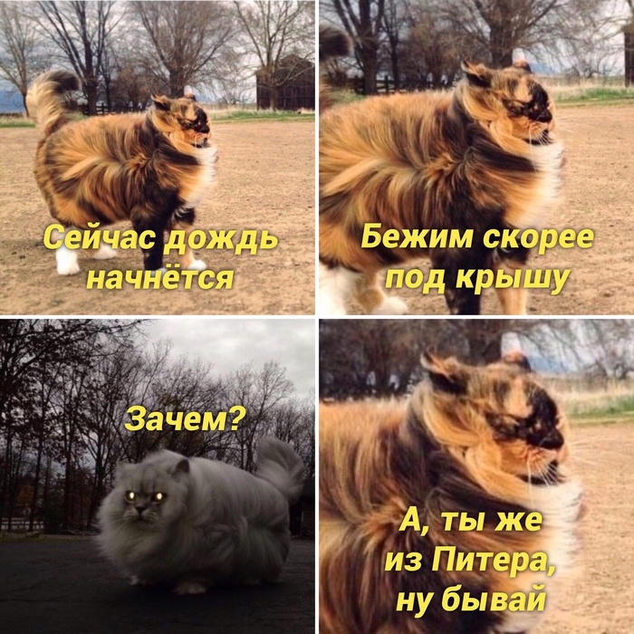 ��, �� �� � ������)