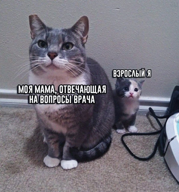    ,   , ,  