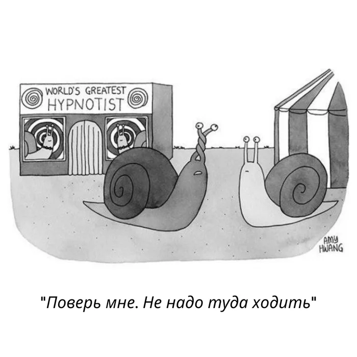 Do not go there - The new yorker, Comics, Snail