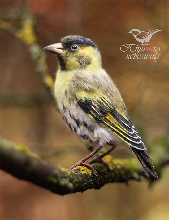 Dry felting. CHIZH - My, Handmade, Needlework without process, Needlework, Master, Art, Author's toy, Birds, Dry felting, Hobby, Nature, Decor, The nature of Russia, Siskin, Longpost