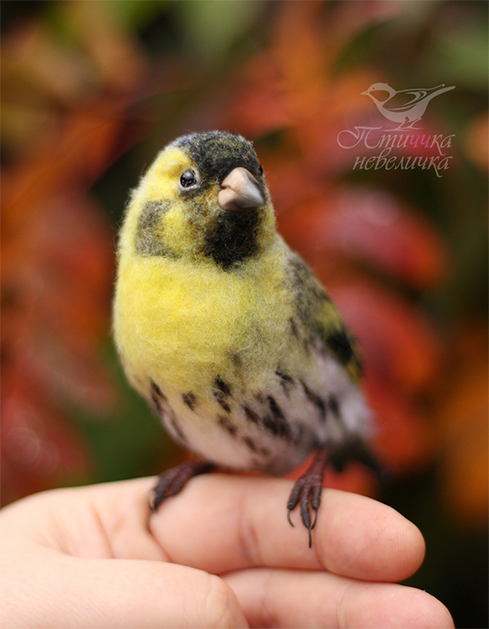 Dry felting. CHIZH - My, Handmade, Needlework without process, Needlework, Master, Art, Author's toy, Birds, Dry felting, Hobby, Nature, Decor, The nature of Russia, Siskin, Longpost