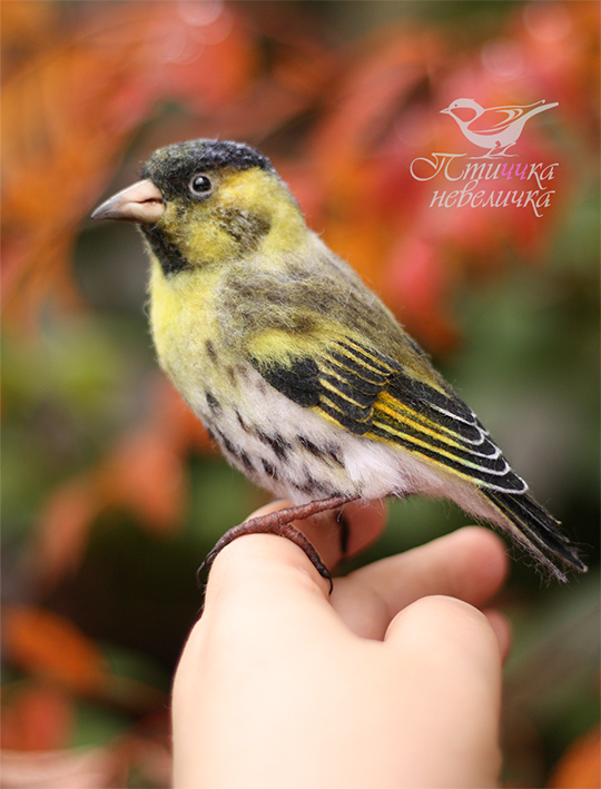 Dry felting. CHIZH - My, Handmade, Needlework without process, Needlework, Master, Art, Author's toy, Birds, Dry felting, Hobby, Nature, Decor, The nature of Russia, Siskin, Longpost