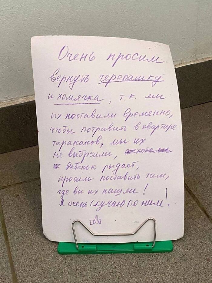 На Сиреневом бульваре в подъезд выставили в клетке хомячка, а в тазу — черепашку - Москва, Соседи, Домашние животные, Подъезд, Тараканы, Видео