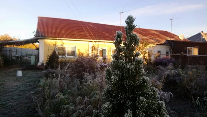 The first frosts in the village - My, Village, The photo, freezing, Frost, beauty, Sunrise