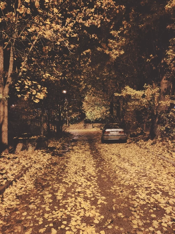 Autumn, evening - My, The photo, Autumn, Wallpaper, Evening, Auto, Autumn leaves