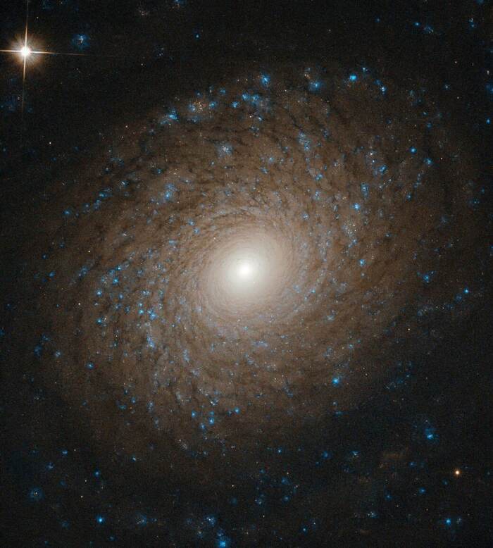The most common galaxies in the observable universe are spiral galaxies. - Milky Way, Starry sky, Astrophoto, Astronomy, Planet, Astrophysics, Galaxy, Stars, Space, The sun, Big Dipper