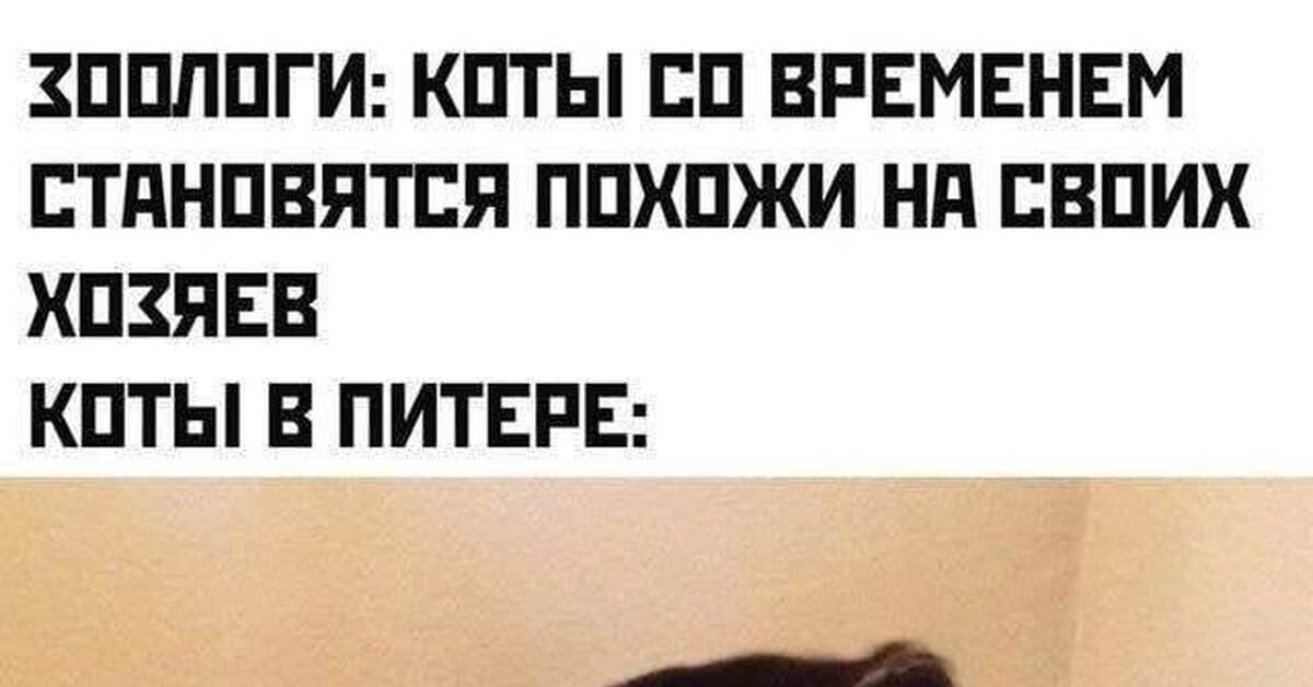 Солёненькое | Пикабу