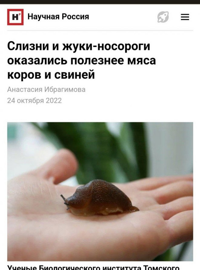 It may not be necessary! - Humor, Memes, Animals, Food, Slug, Жуки, Picture with text