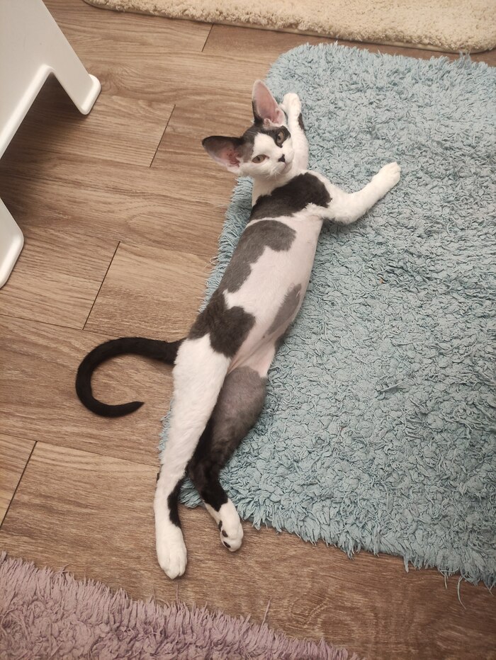 Сказочная девочка)