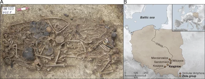 The Mystery of the Neolithic Mass Burial. Series Window to the Past - My, Neolithic, Archeology, Story, Interesting, Nauchpop