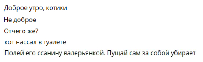 А так точно можно? - Моё, Кот, Скриншот, Юмор