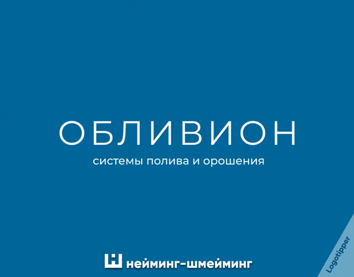 Нейминг-Шмейминг ч.10 - Моё, Юмор, Игра слов, Каламбур, Идея, Креатив, Нейминг, Слоган, Обливион (фильм), Орошение, Кислородный коктейль, Коктейль, Сокращение, Сократ, Словарь, Кашемир, Каша, Завтрак, Фотограф, Фотография, Длиннопост