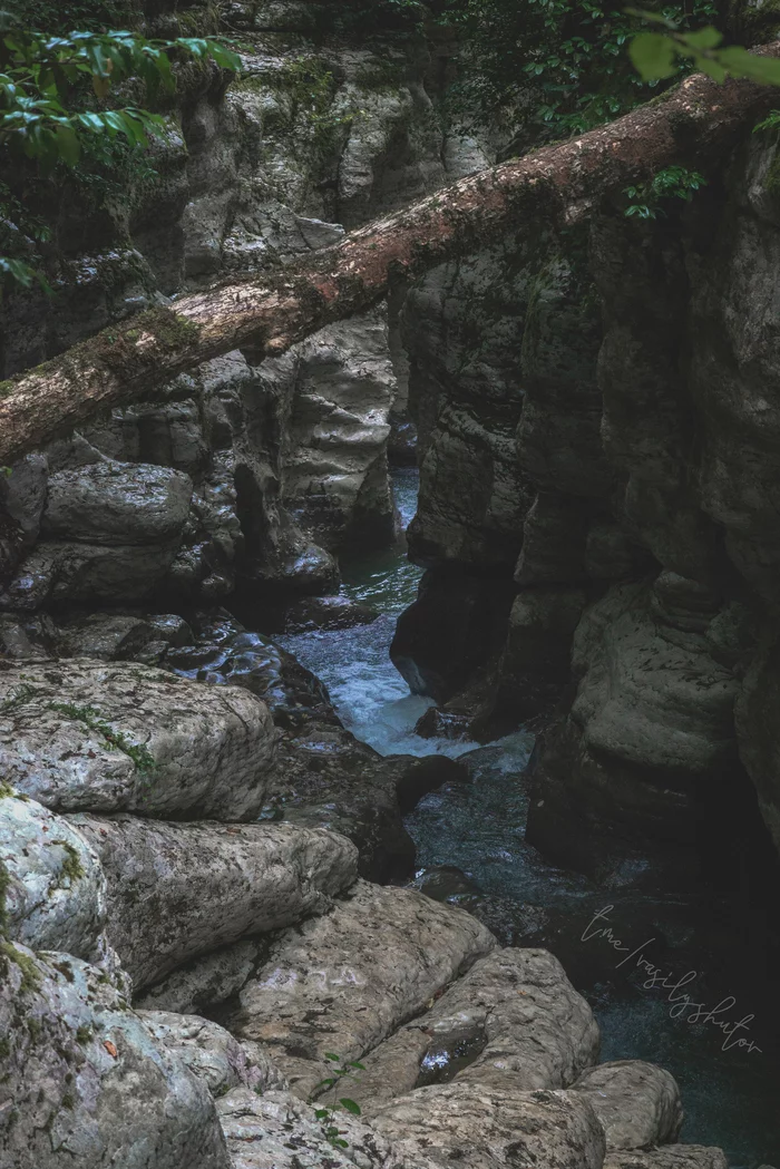 White rocks in the green jungle - My, The nature of Russia, The rocks, River, Nature, Summer