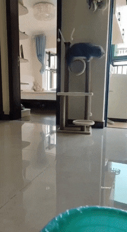      , , , 