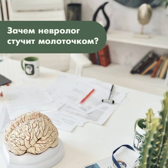 Зачем невролог стучит молоточком? - Моё, Медицина, Здоровье, Врачи, Невролог, Неврология