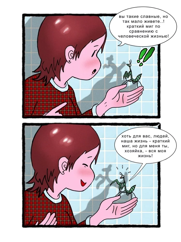 a brief moment - Mantis, Comics, Author's comic, Insects, Web comic