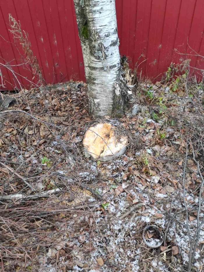 ����� �� ��������� ������� ����� ������ �������?