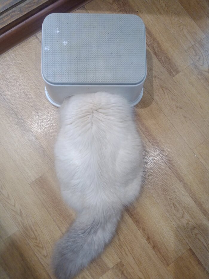 ��� � ������� �� �������