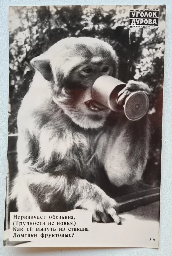 A monkey is a human too - My, The photo, Postcard, Black and white photo, Retro, 50th, Old photo, Monkey, Longpost