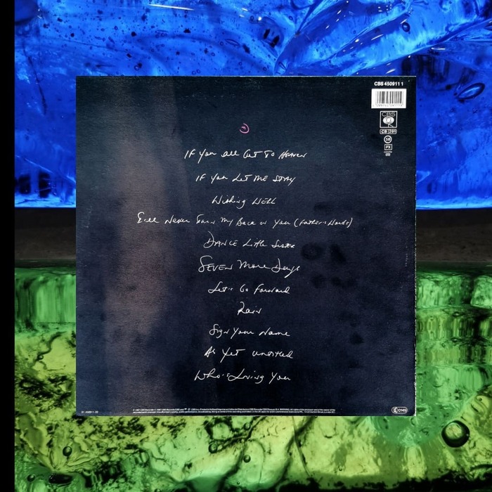 Terence Trent D'Arby Introducing The Hardline According To Terence