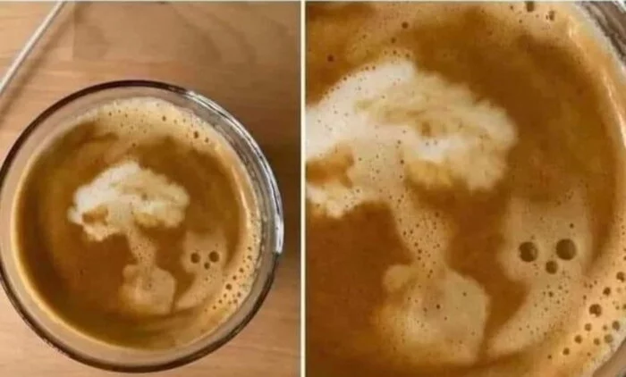 My coffee seems to be warning of something) - Images, Coffee, Foam, It seemed, Pareidolia, cat