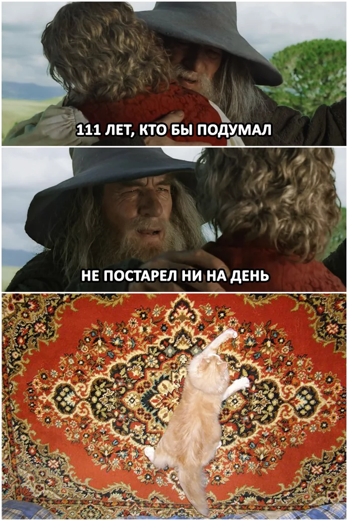 Carpet - My, Images, The photo, Screenshot, Memes, Movies, Books, Lord of the Rings, Gandalf, Bilbo Baggins, Carpet, Picture with text, cat