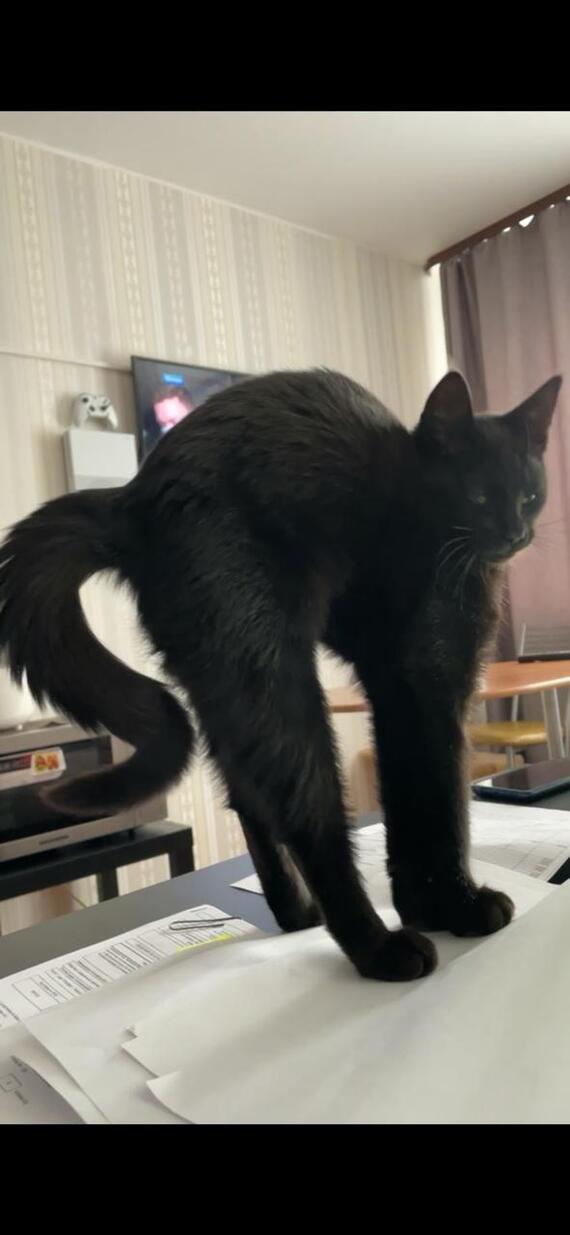 �������? ��...