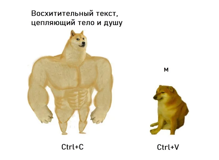 Милорд, ваш текст пожрал буфер обмена - Моё, Ctrl-C Ctrl-V, Юмор, Doge, Редактирование текста