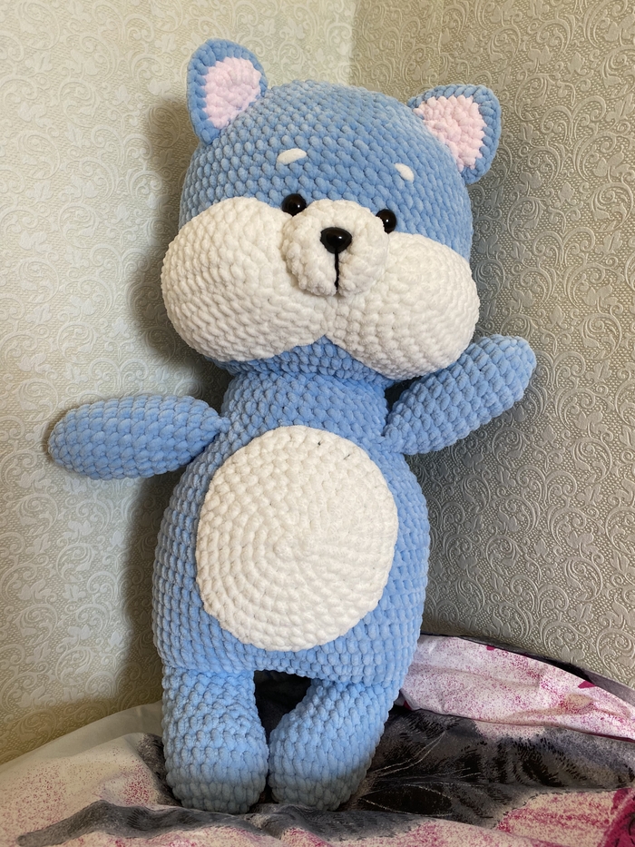 Собака на День рождения?