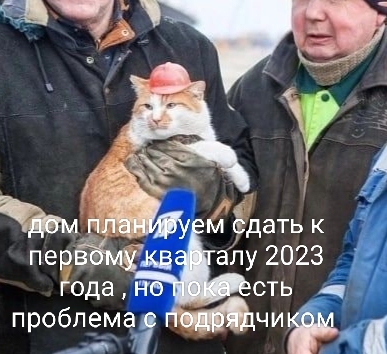Chief Engineer - Engineer, cat, Who is in charge, Picture with text