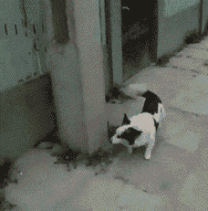      , , , 