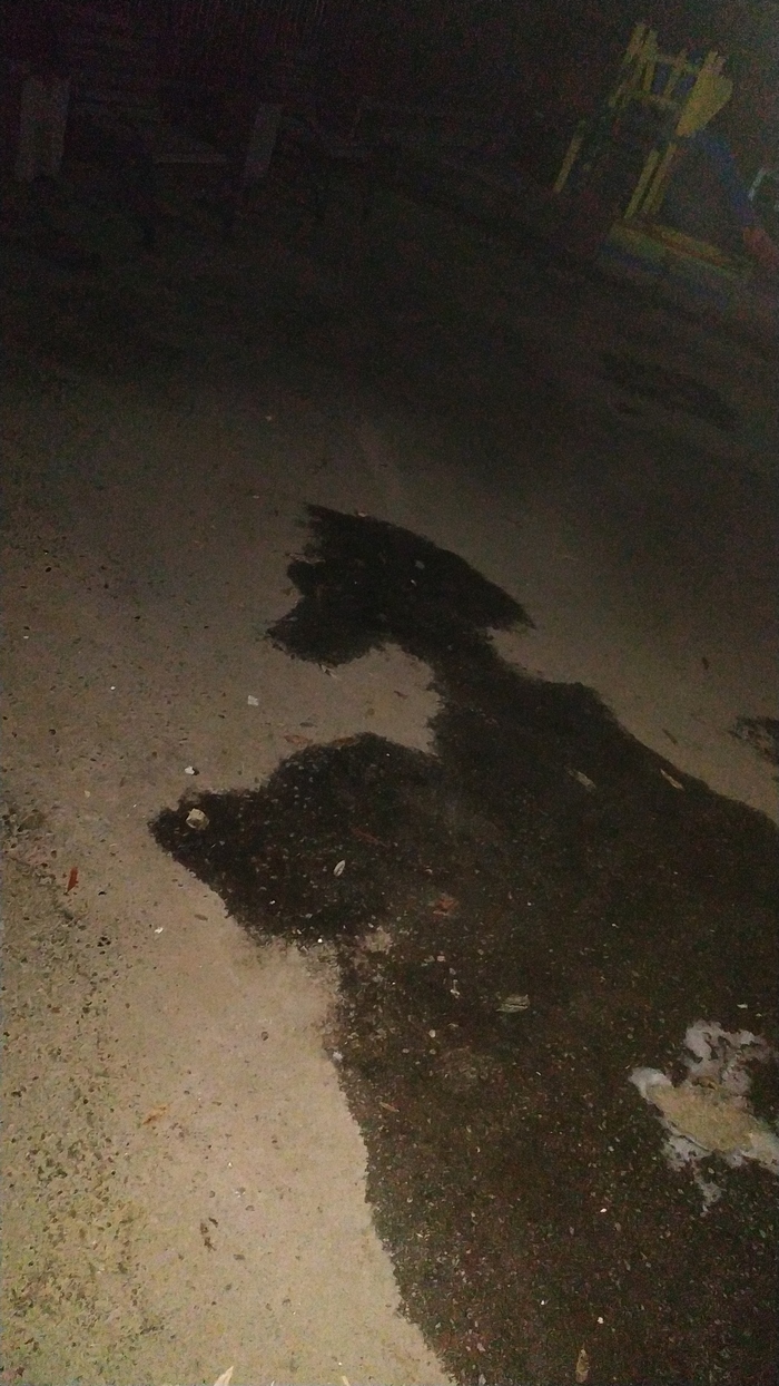 ���� (�� ���� ������ ����) � ���� ���� �� ��� �������� ����������)