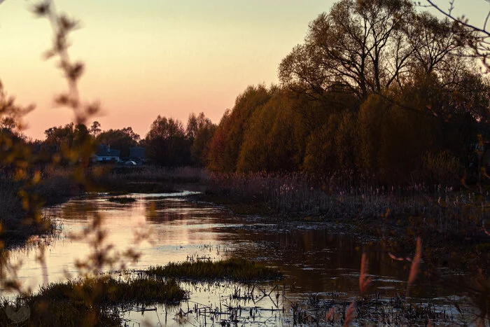 Overgrown river Verda, suspension bridge. In the distance, Metallurg microdistrict, Ryazan region - My, The nature of Russia, Ryazan Oblast, Skopin, River, Sunset, Summer, Photographer, Outskirts, Longpost