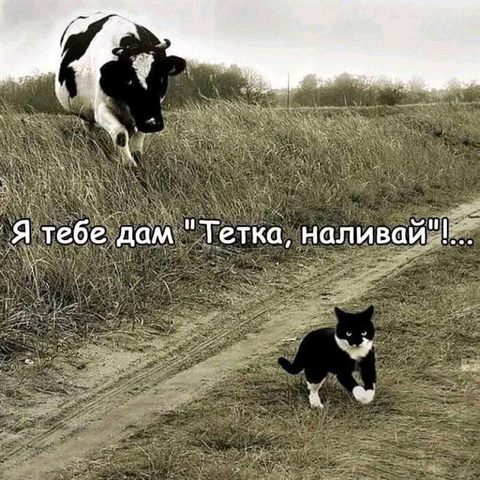   , ,   , , , 