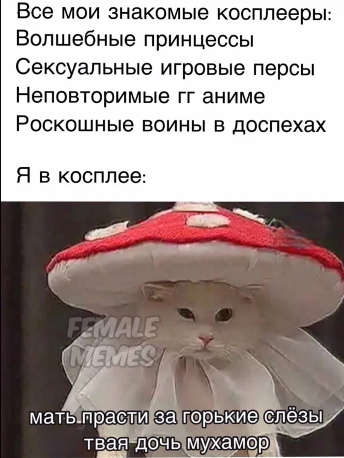 fly agaric costume - My, Fly agaric, Mushrooms, Costume, Halloween costume, Longpost, cat, Cosplay, Needlework with process