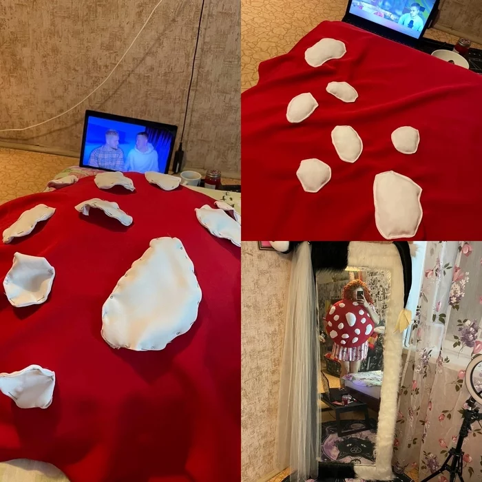 fly agaric costume - My, Fly agaric, Mushrooms, Costume, Halloween costume, Longpost, cat, Cosplay, Needlework with process