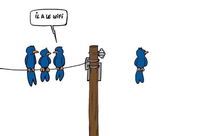 Is he on Wi-Fi? - Technologies, Humor, Wi-Fi, Cartoons, Birds, Picture with text