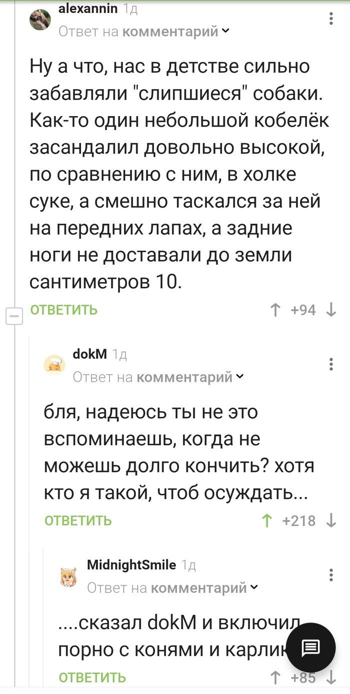 Секс и Собака: советы сексологов, секс рекорды, приколы — Горячее, страница  3 | Пикабу