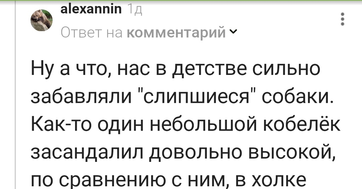 Проблема быстрого семяизвержения «Быстро кончаю» — самое частое, что слышит уролог