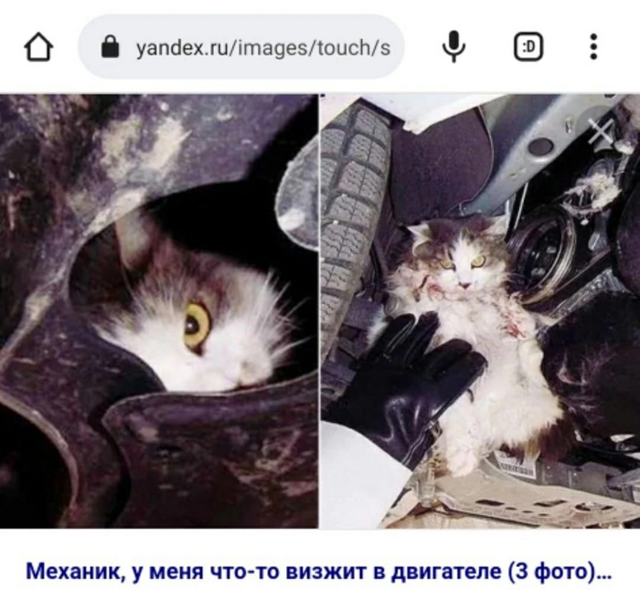 ВНИМАНИЮ ВСЕХ АВТОВЛАДЕЛЬЦЕВ!!! Кот, Автомобилисты, Проверка, Срочно, Длиннопост