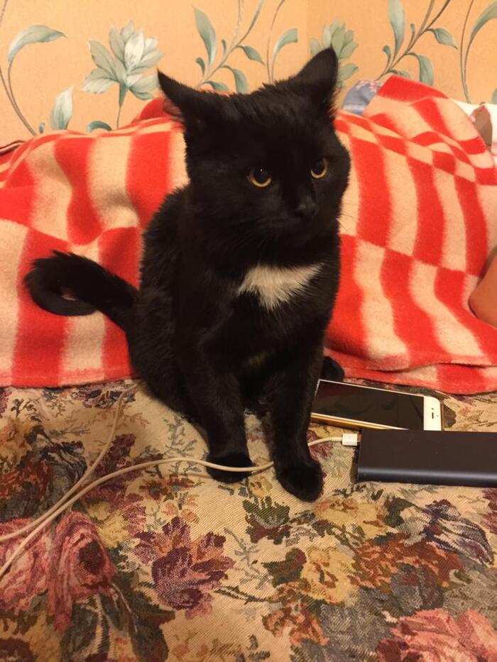 ��������� ��� (���������� �-� ��)