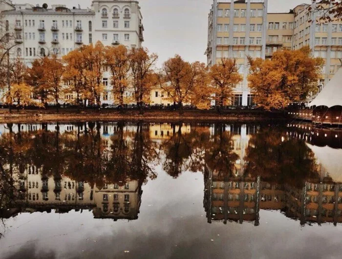 Чистые пруды. Москва - Осень, Фотография, Пруд, Отражение, Москва, Дерево