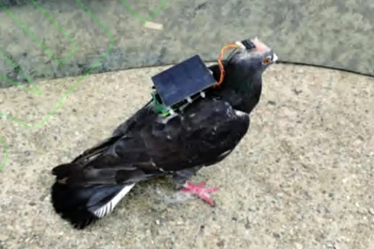 � ����� ������ ���������� ������ ������ � ������ ����, ��������� ������� � ����� �����