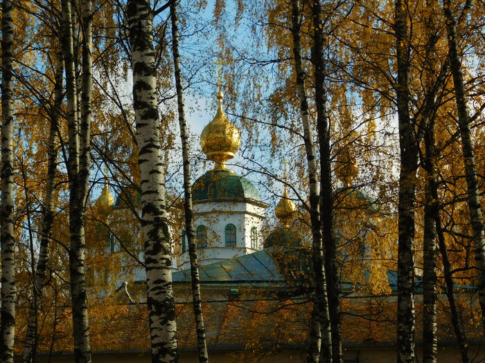 Золотая осень, золотые купола - Моё, Осень, Собор, Череповец, Фотография, Длиннопост