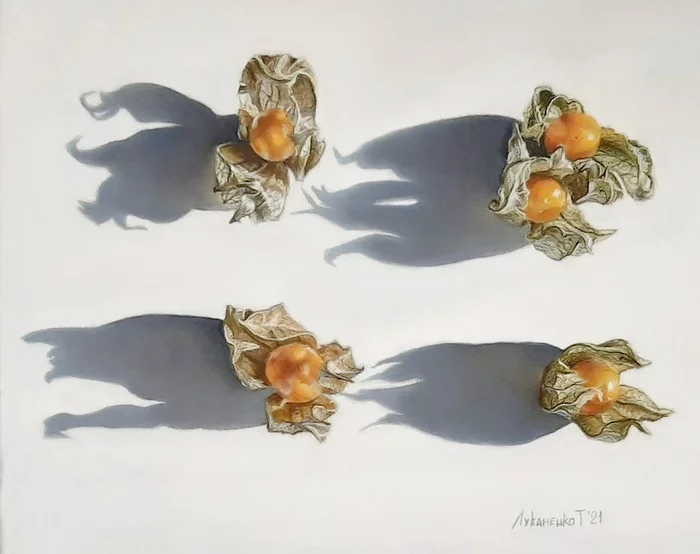 Physalis and bizarre shadows - My, Still life, Drawing, Dry pastel, Physalis, Video, Vertical video, Longpost