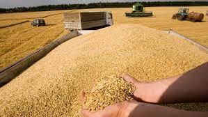No longer a safe grain deal! - My, Politics, news, Russia, Риа Новости, West, Corn, Vladimir Zelensky