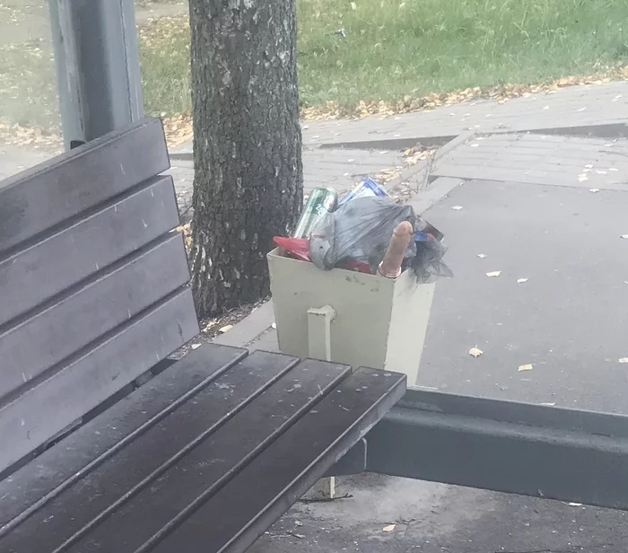 Stormy weekend - My, Trash can, Dildo, Benches