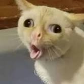 " -" , , 