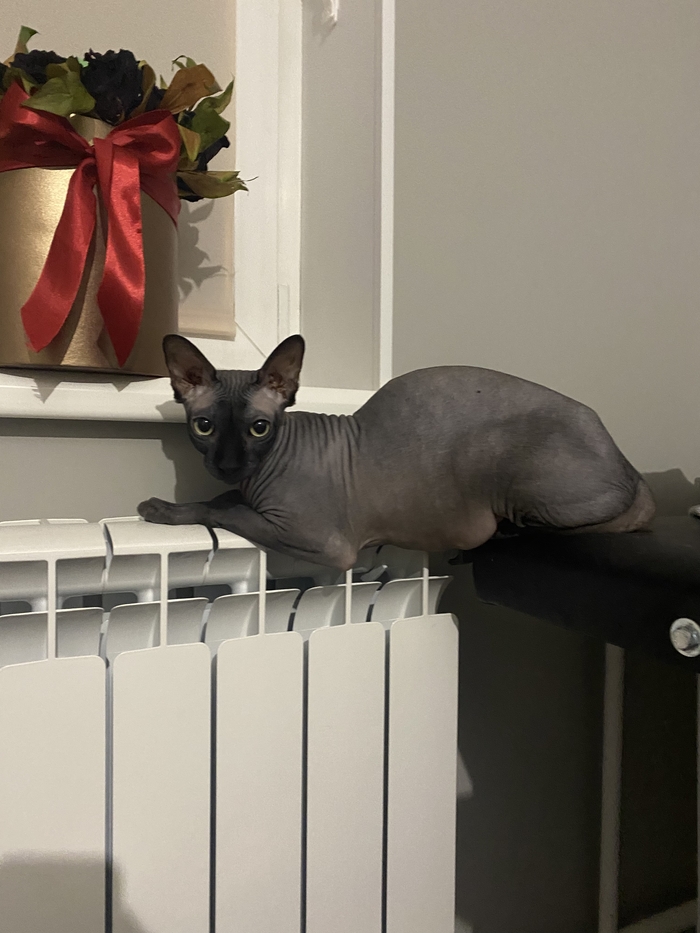 Согреться захочешь и не так раскорячишься