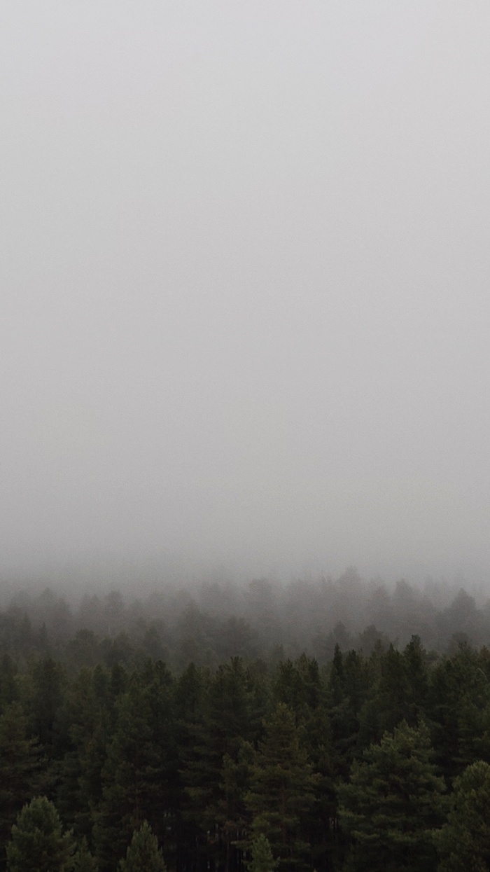 Сайлент-Хилл под Кандалакшей Туман, Мобильная фотография, Природа, Silent Hill, Кандалакша, Длиннопост